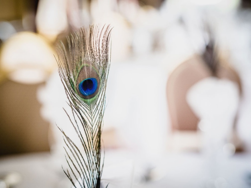 wedding-peacock-feather